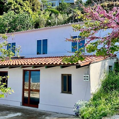 Villa Kate บอร์ช ภายนอก รูปภาพ